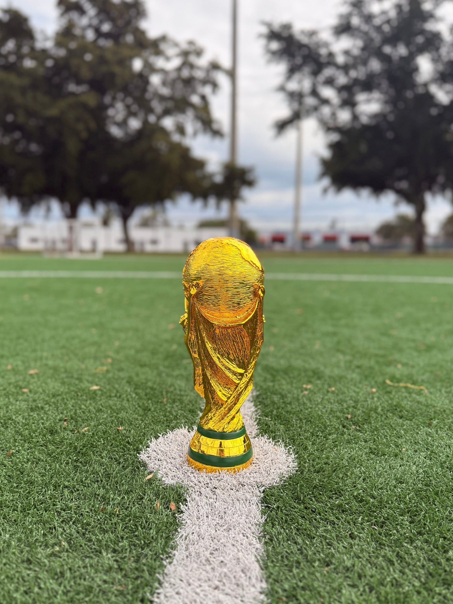 World Cup Trophy in Hollow Resin – Premium - 14.5 Inches (36 cm) - More Stock Arriving in Approx. 10 Days