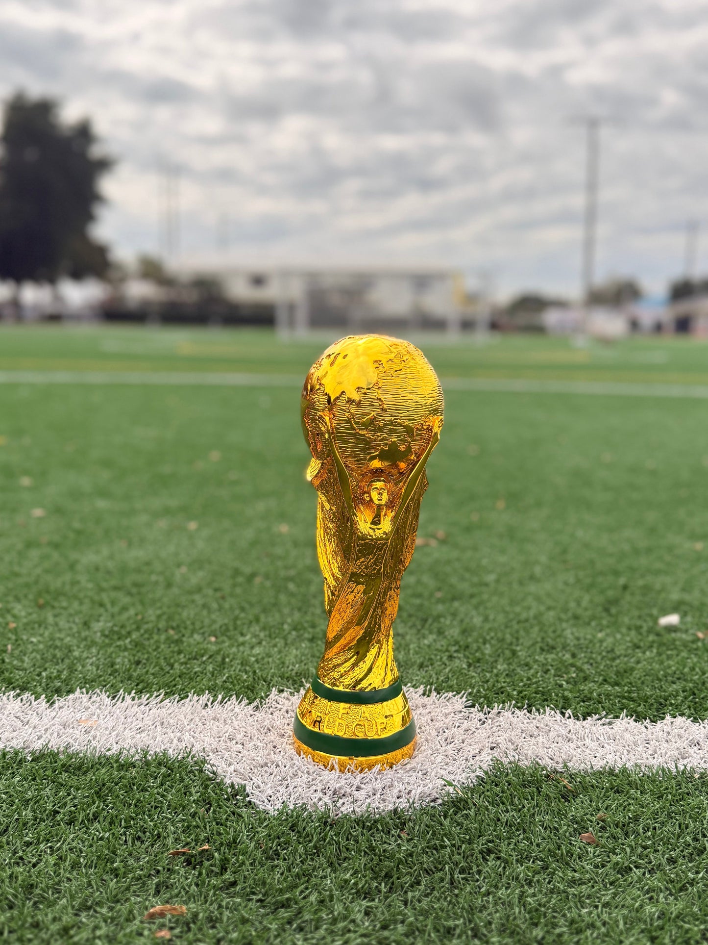World Cup Trophy in Hollow Resin – Premium - 14.5 Inches (36 cm) - More Stock Arriving in Approx. 10 Days