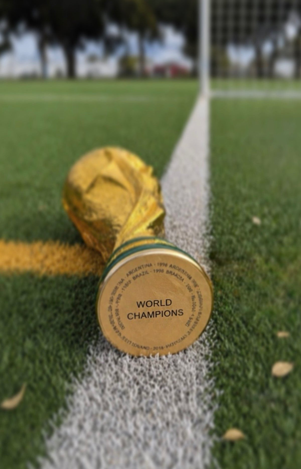 World Cup Trophy in Solid Resin – Premium – 14.5 Inches (36 cm) - More Stock Arriving in Approx. 10 Days