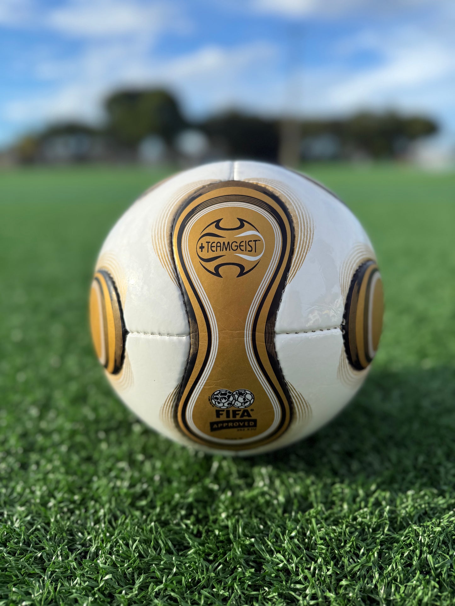 🇩🇪 Soccer Ball Teamgeist Final Berlin 2006 – Official Match Replica