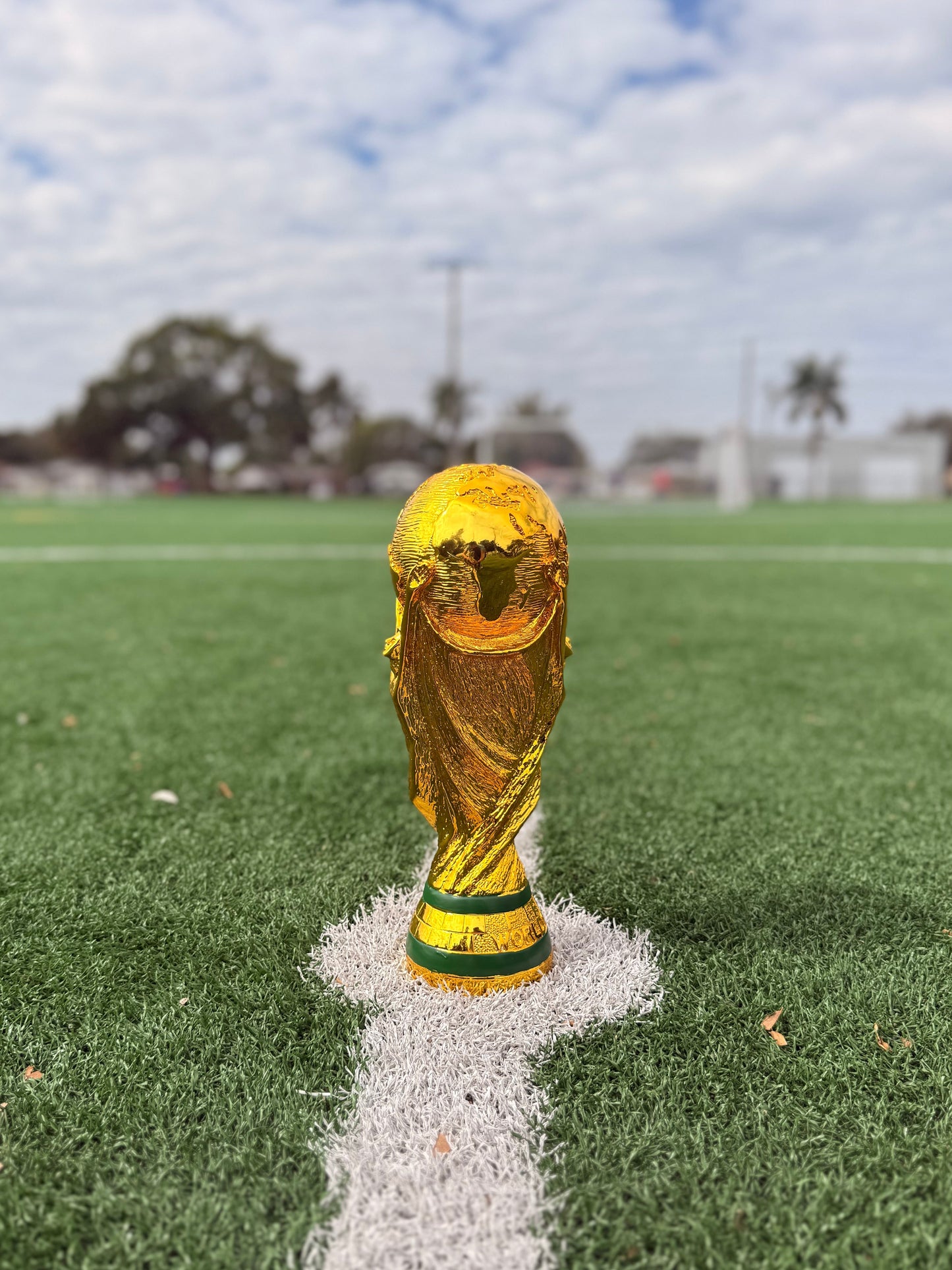 World Cup Trophy in Hollow Resin – Premium - 14.5 Inches (36 cm) - More Stock Arriving in Approx. 10 Days