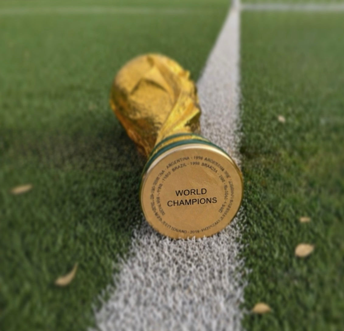 World Cup Trophy in Hollow Resin – Premium - 14.5 Inches (36 cm) - More Stock Arriving in Approx. 10 Days